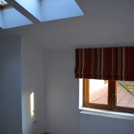 Attic - Unirii Square Timişoara