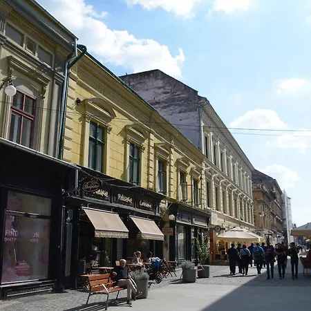 Attic - Unirii Square Timişoara